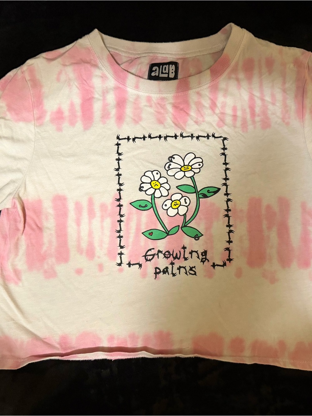 Alab (Zumiez) Pink Tie-Dye Graphic Crop Top